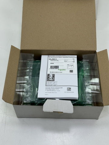 Schneider Electric REL59913