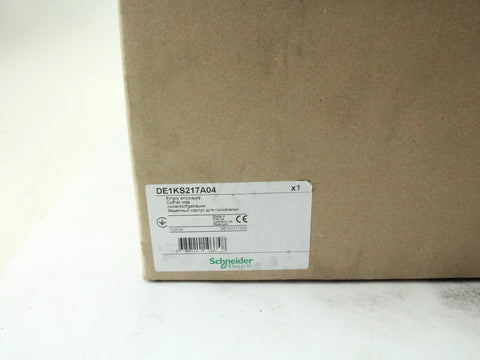 Schneider Electric DE1KS217A04