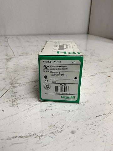 SCHNEIDER ELECTRIC 9001KS11K1H13