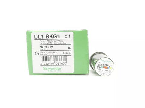 SCHNEIDER ELECTRIC DL1BKG1