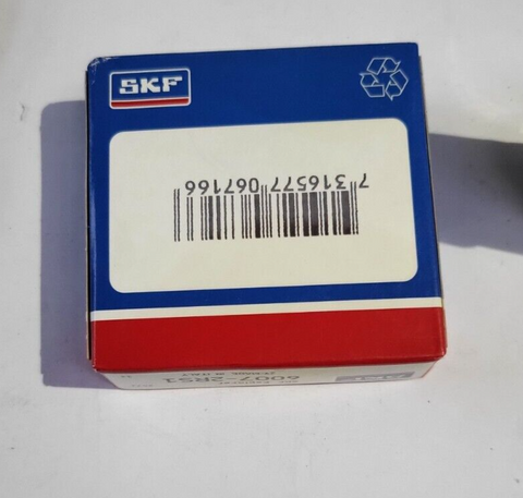 SKF 6007-2RS1