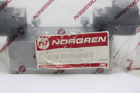 Norgren SXE9675-Z50-81-33N