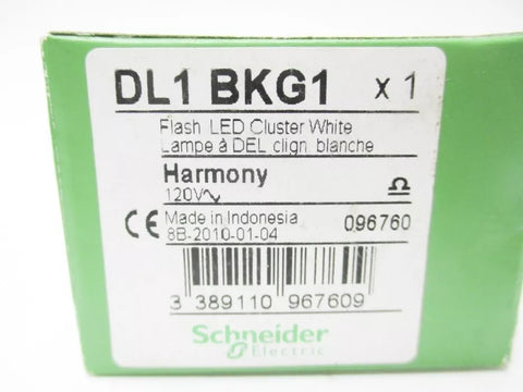 SCHNEIDER ELECTRIC DL1BKG1